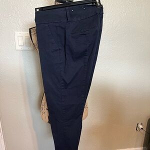 Ann Taylor curvy dress Capri